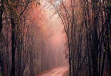 足球——欧国联：克罗地亚队胜法国队.